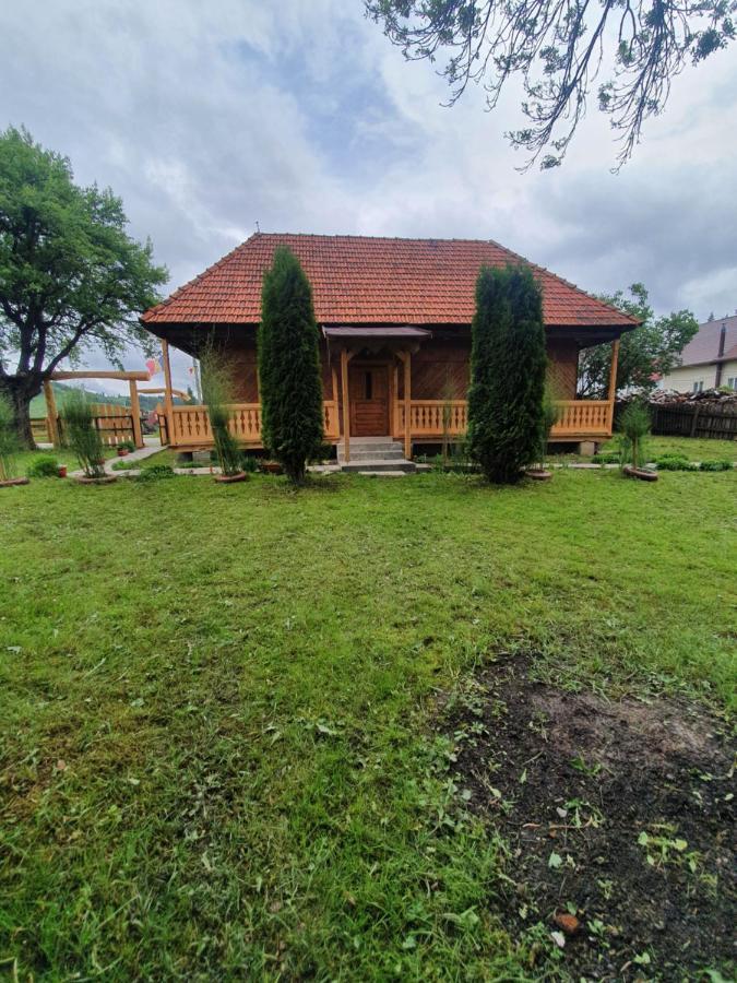 Casa Traditionala Bilbor エクステリア 写真